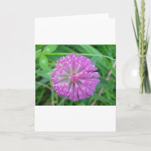 Acercamiento rosa de la tarjeta de saludo