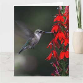 ¡Aclare alguien día con esta tarjeta preciosa!!