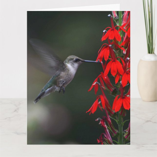 ¡Aclare alguien día con esta tarjeta preciosa!! (Anverso)