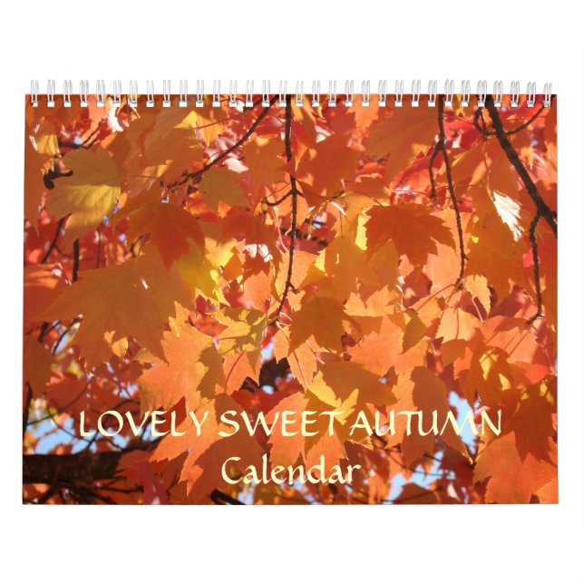 ACOGEDOR DULCE OTOÑO Calendario Regalos de vacacio (Tapa)