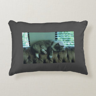 Acogedora almohada con foto de Ragdoll