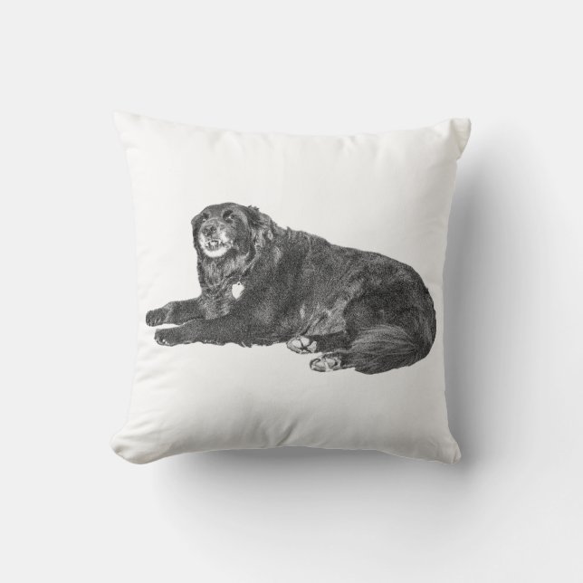 Acogedora almohada de perro negro para decoración  (Anverso)