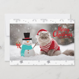 Acogedores Navidades exóticos de Shorthair