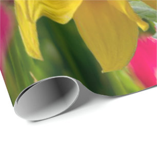 Acondicionamiento de girasoles de papel