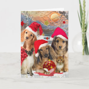 Acopio del navidad del Dachshund y de los amigos