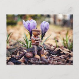 Acorn elf esperando la postal de primavera