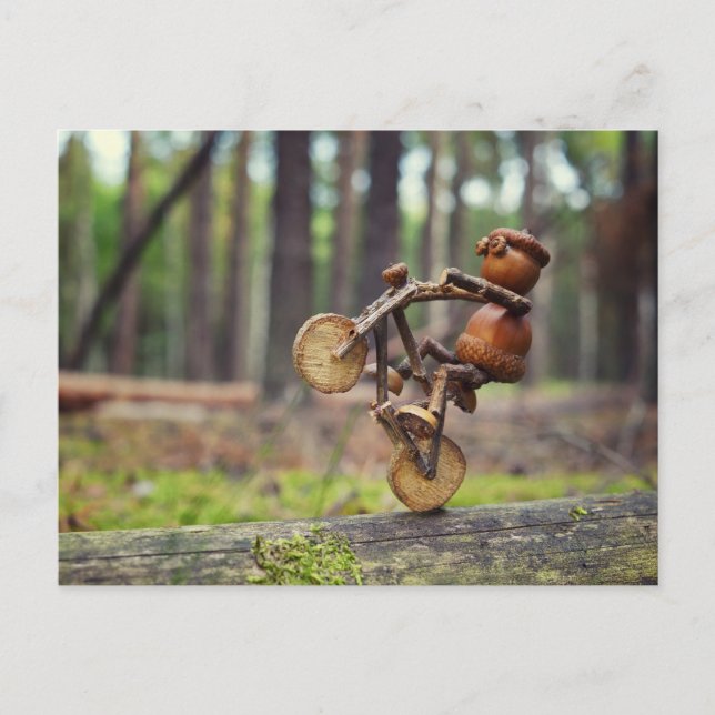 Acorn elf montando la postal de la bicicleta (Anverso)