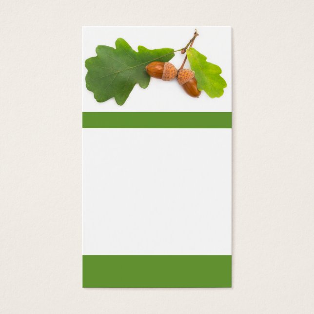 Acorns (Frente)