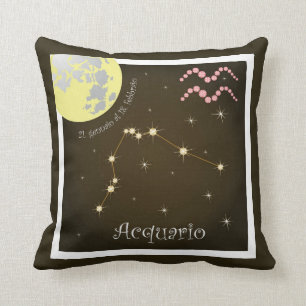 Acquario 21 al 18 almohadas gennaio febbraio