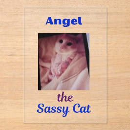 Acrílicas Invitaciones de acrílico Angel the Sassy Cat