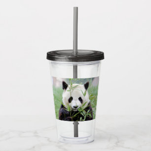 Acrílico Vaso acrílico. Panda gigante de la foto, panda gea