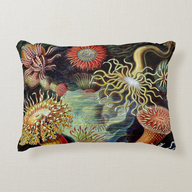 Actiniae por Ernst Haeckel  Almohada de acento (Anverso)