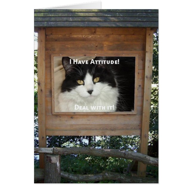 Actitud del gato (Frente)