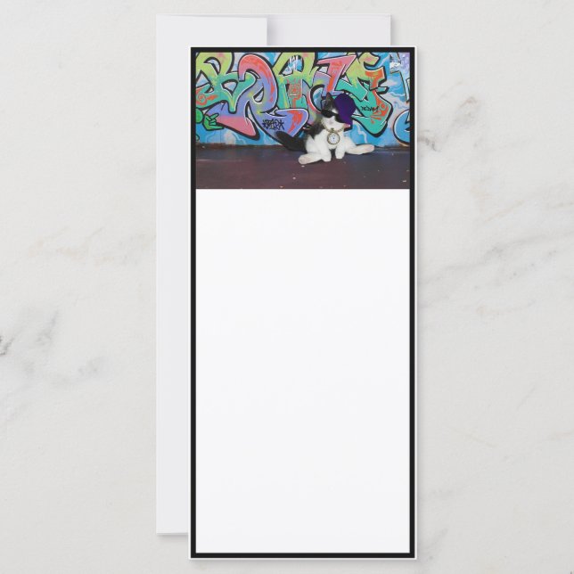 Actitud del gato.....Gatitos y Muro de graffiti (Anverso)