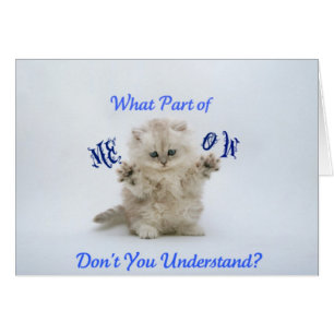 Actitud del maullido de los gatitos