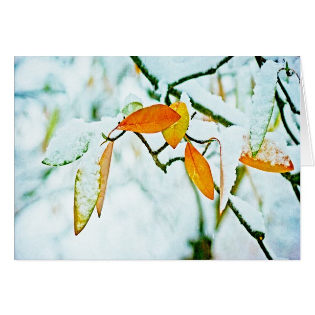 Activar la página (Anverso (Horizontal))