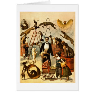 Acto entrenado 1899 del perro - poster del acto de