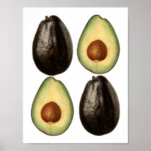 acuarela aguacate cuadros arte frutal de jardín