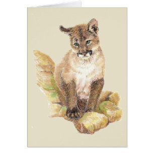 Acuarela Cougar Puma, León de montaña en blanco