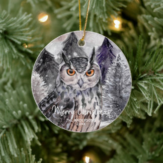 Acuarela de búho gris en ornamento navideño forest