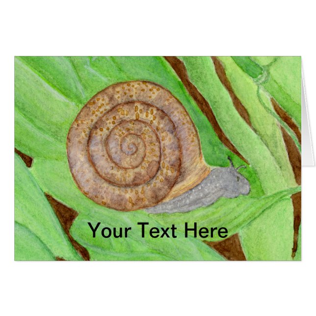 Acuarela de caracol (Anverso (Horizontal))