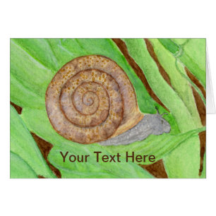 Acuarela de caracol