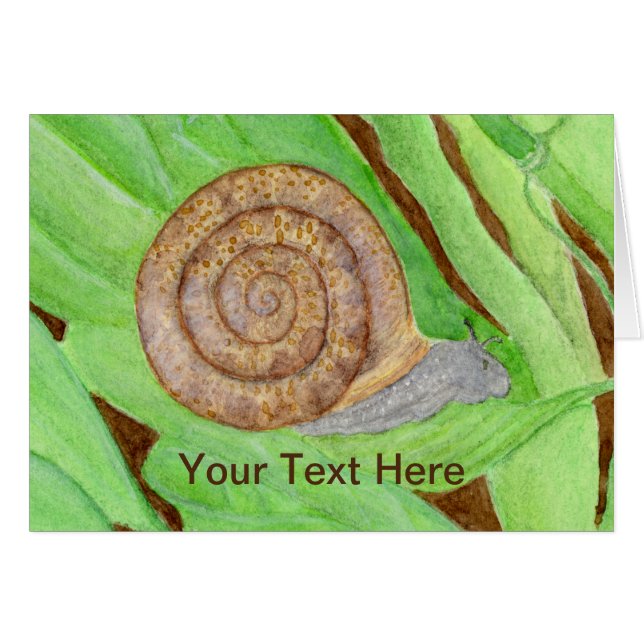 Acuarela de caracol (Anverso (Horizontal))