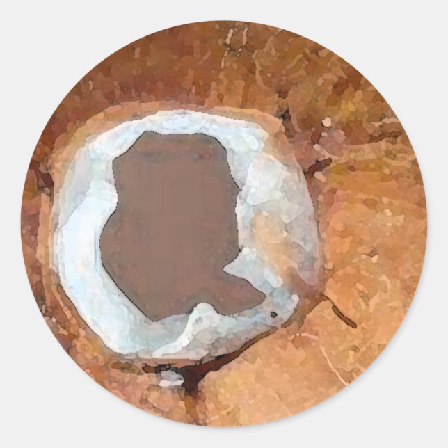 Acuarela de coco - pegatina (Anverso)