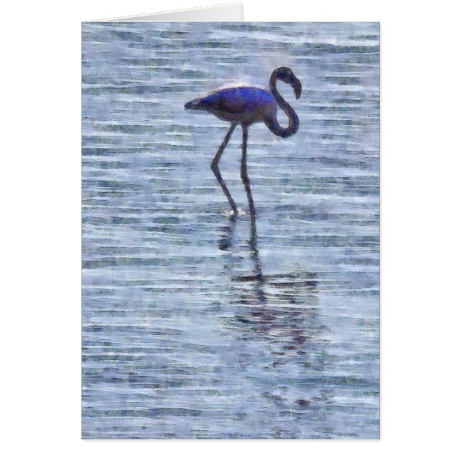 Acuarela De Flamingo De Alto (Frente)