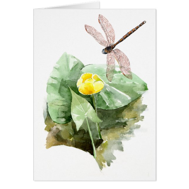 acuarela de lirio (Frente)