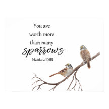 Acuarela De Más De Muchas Flechas De Impresión