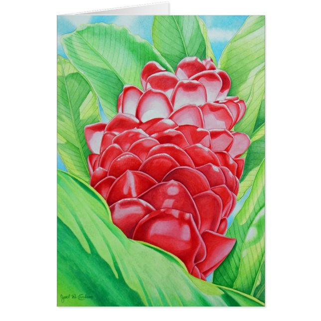 Acuarela del jengibre rojo (Frente)