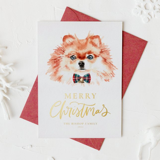 Acuarela festiva Perro pomerano Feliz Navidad (Subido por el creador)
