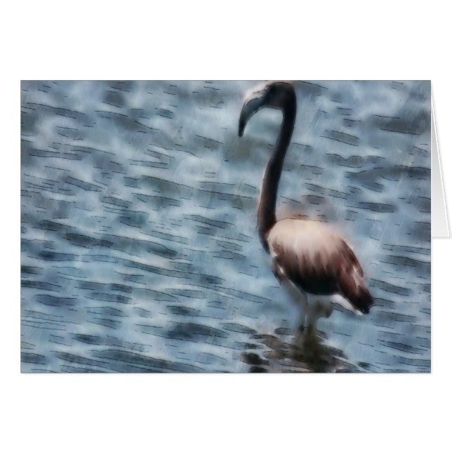 Acuarela Flamingo Fledgling (Anverso (Horizontal))