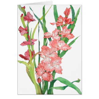 Acuarela Gladiolas rosado