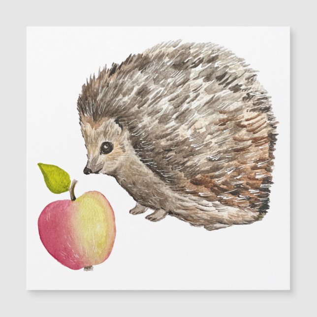 Acuarela lindo erizo y manzana (Anverso)