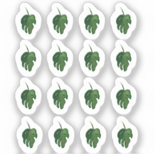 Acuarela Monstera Leaf Green Pegatina Set