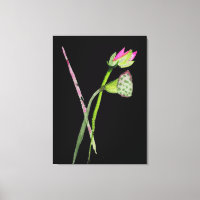acuarela rosa Lotus arte de pintar en Zen