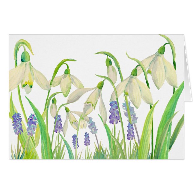 Acuarela Snowdrops y Muscari (Anverso (Horizontal))