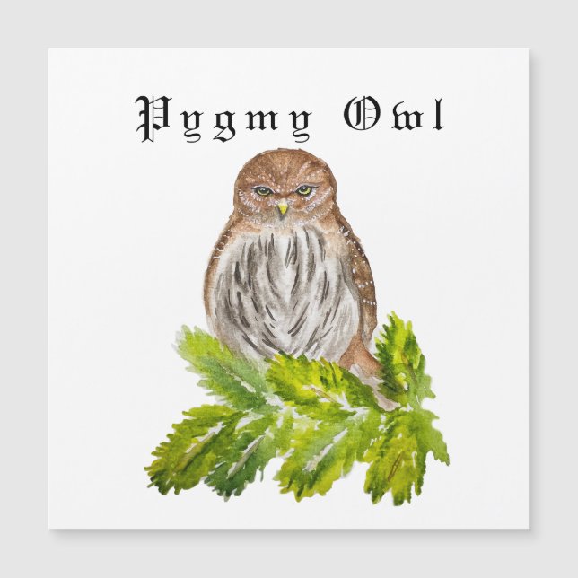 Acuarela Vio Lechuzas Trizas (Anverso)