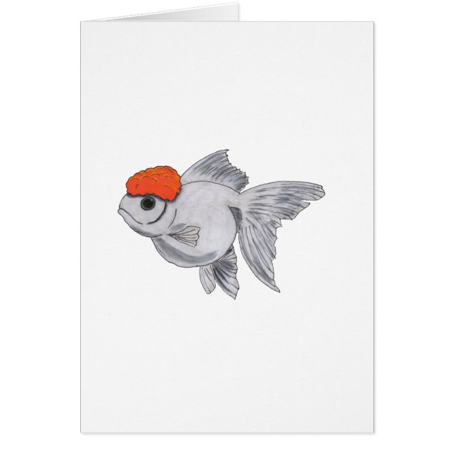 Acuario de peces dorados blanco y Naranja Mascota  (Frente)