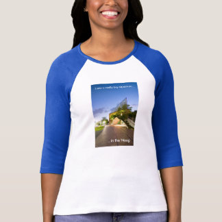 Acuario en el 'Noog 3/4 camiseta del raglán de la