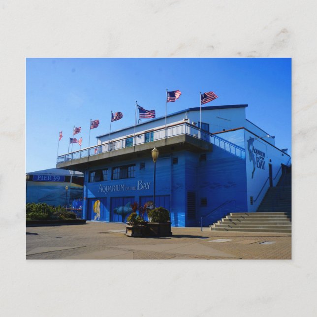 Acuario SF de la Bahía #4-2 postal (Anverso)