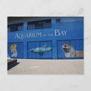 Acuario SF de la postal de la bahía