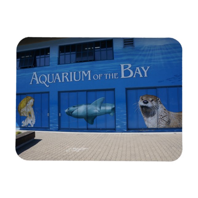 Acuario SF del imán de la bahía (Horizontal)