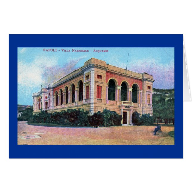 Acuario, vintage 1915 de Napoli Nápoles Italia (Anverso (Horizontal))