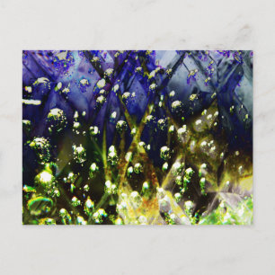 Ada - 2/3 - Tarjeta postal "El Acuario"