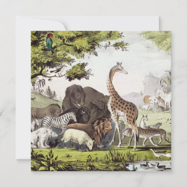 Adam nombra a las criaturas (Anverso)