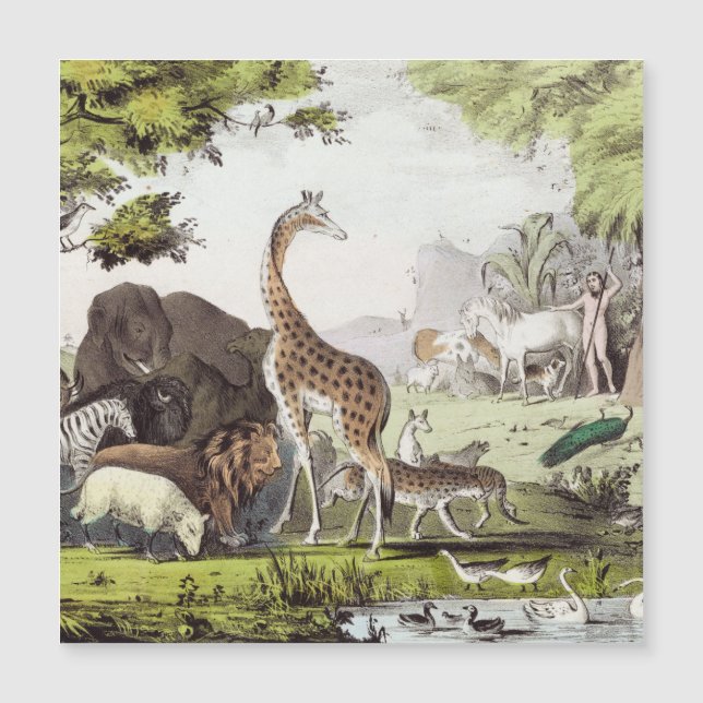 Adam nombra a las criaturas (Anverso)