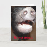 Adelante y chilla, tarjeta de cumpleaños de cerdo
